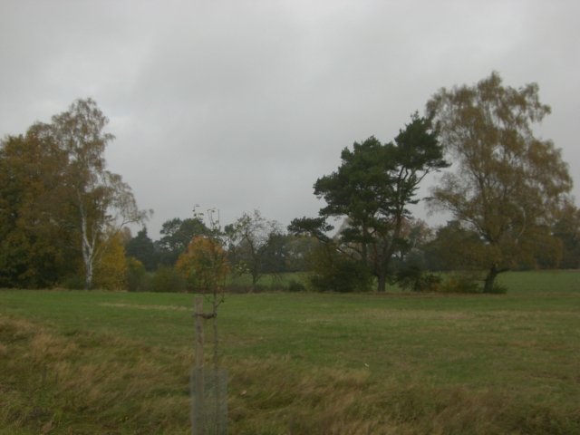 CTF Celle Strecke 037